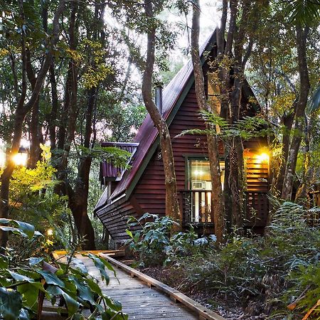 The Mouses House Rainforest Retreat Springbrook Dış mekan fotoğraf