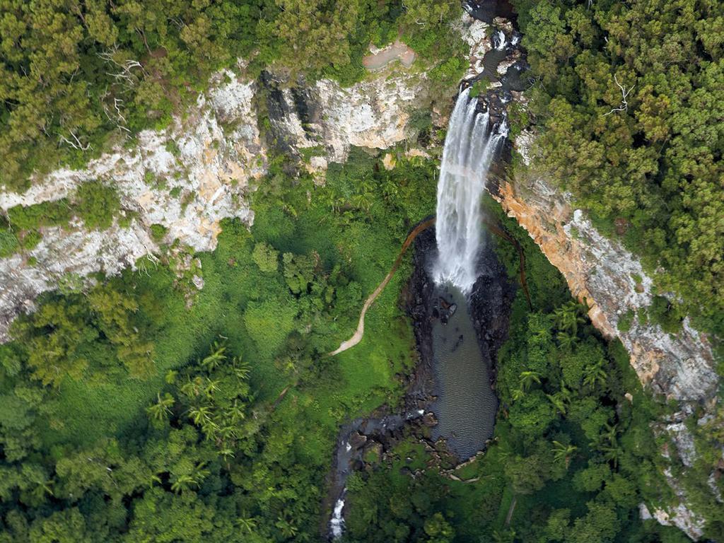 The Mouses House Rainforest Retreat Springbrook Dış mekan fotoğraf