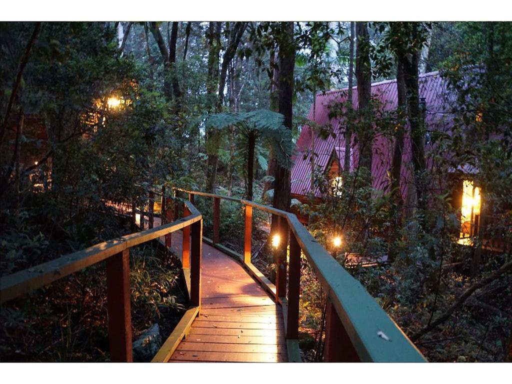 The Mouses House Rainforest Retreat Springbrook Dış mekan fotoğraf