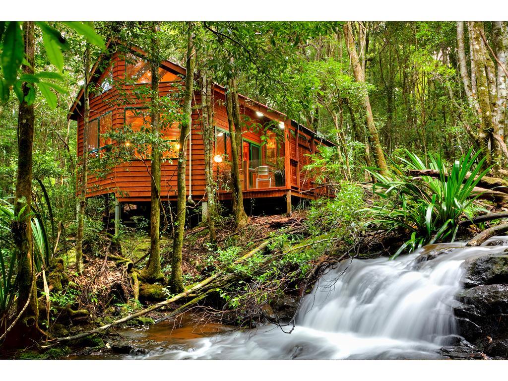 The Mouses House Rainforest Retreat Springbrook Dış mekan fotoğraf