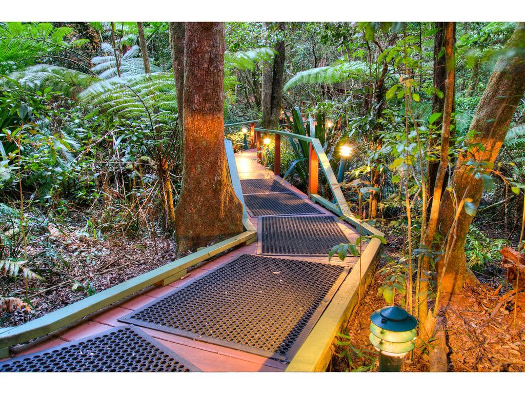 The Mouses House Rainforest Retreat Springbrook Dış mekan fotoğraf