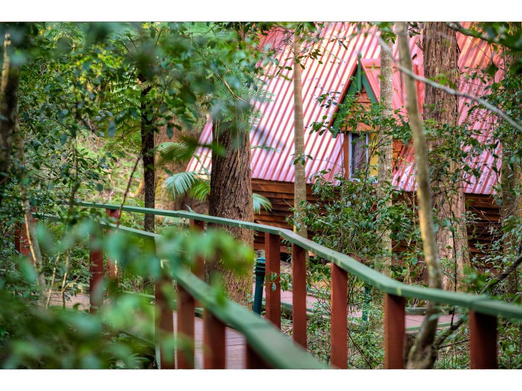 The Mouses House Rainforest Retreat Springbrook Dış mekan fotoğraf