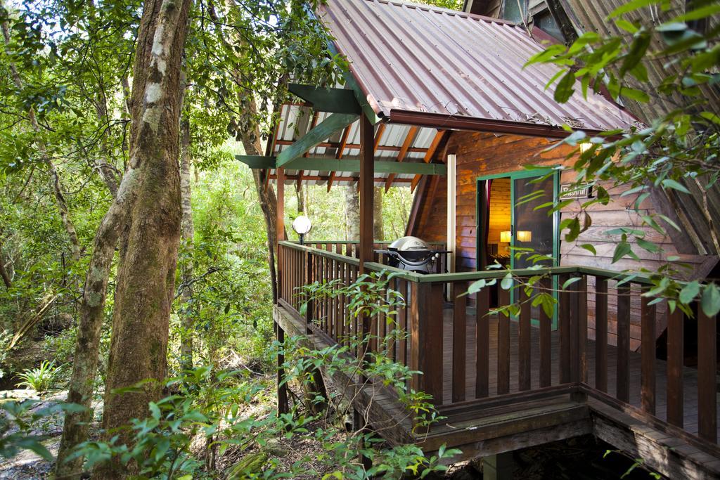 The Mouses House Rainforest Retreat Springbrook Dış mekan fotoğraf
