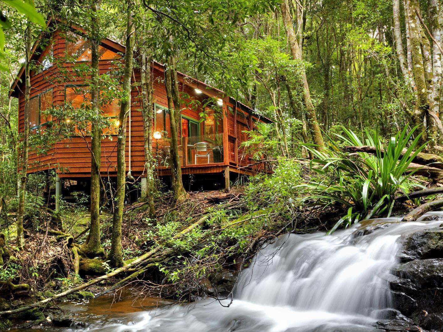 The Mouses House Rainforest Retreat Springbrook Dış mekan fotoğraf