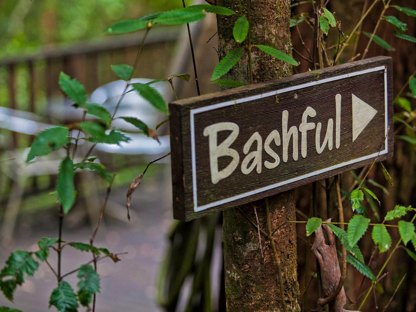 The Mouses House Rainforest Retreat Springbrook Dış mekan fotoğraf