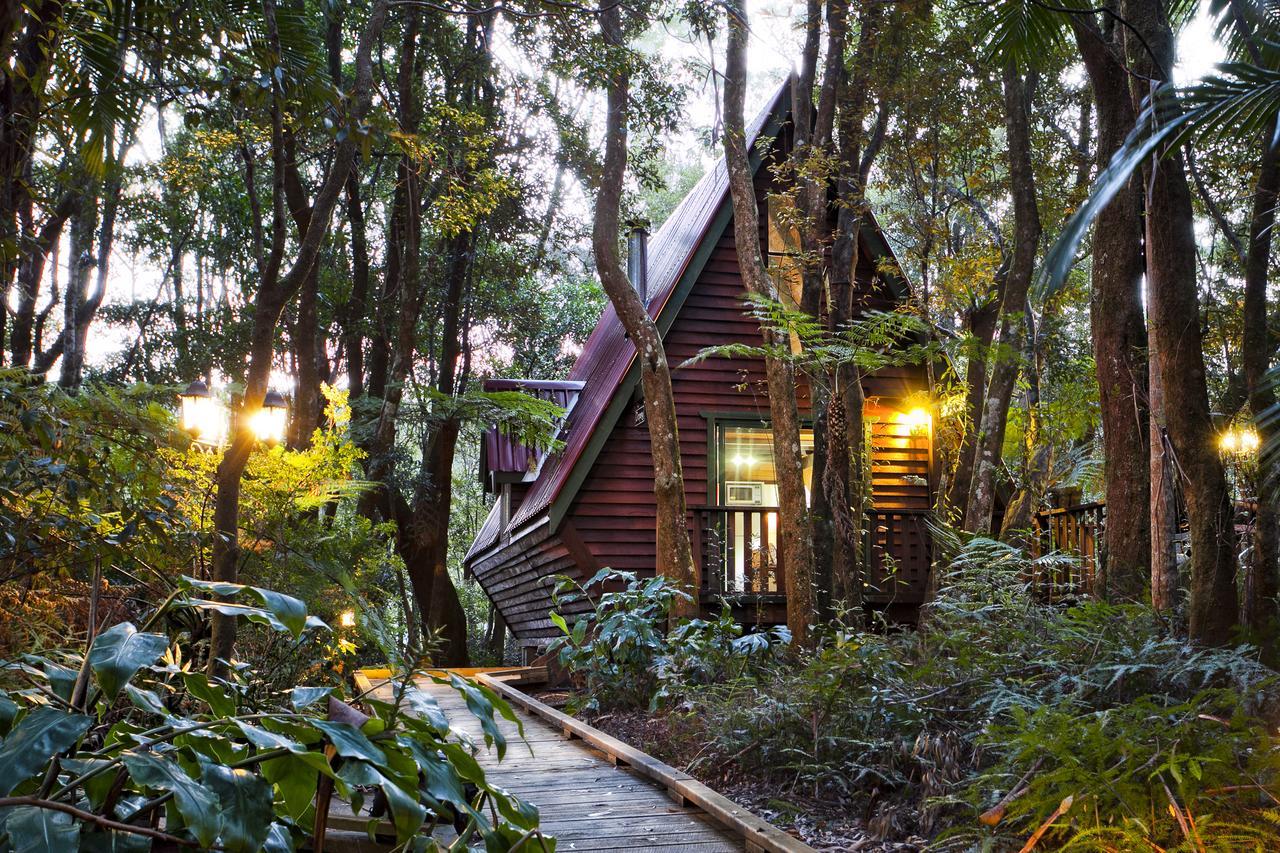 The Mouses House Rainforest Retreat Springbrook Dış mekan fotoğraf