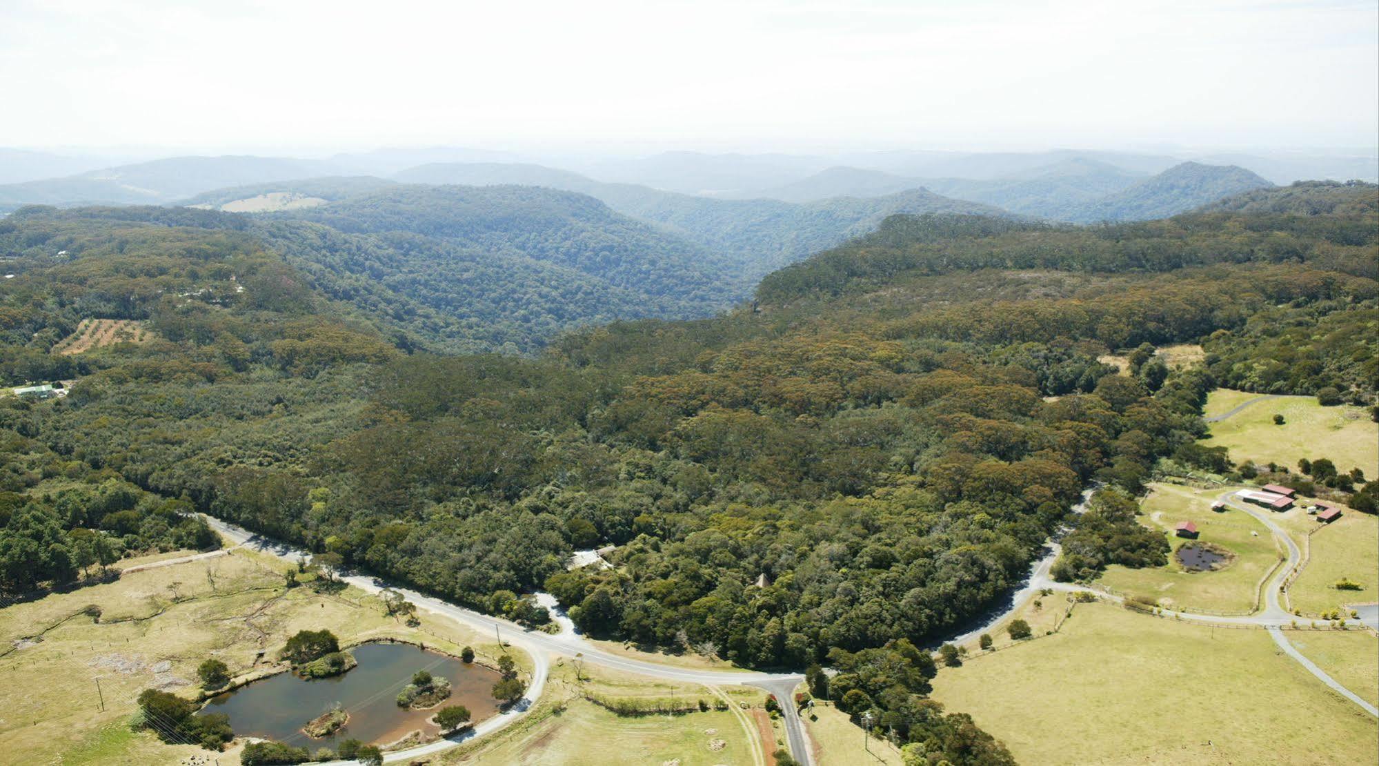 The Mouses House Rainforest Retreat Springbrook Dış mekan fotoğraf