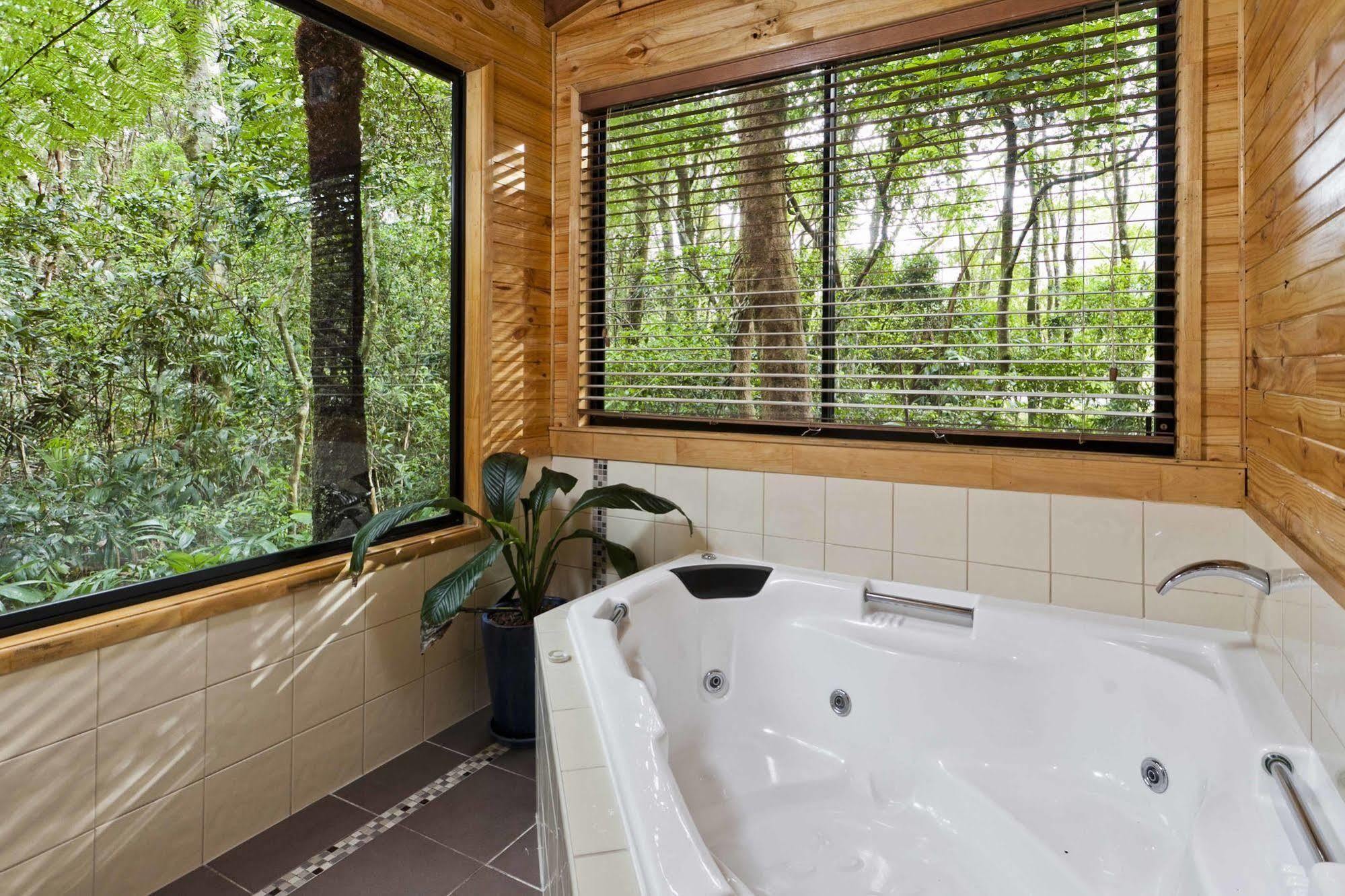 The Mouses House Rainforest Retreat Springbrook Dış mekan fotoğraf