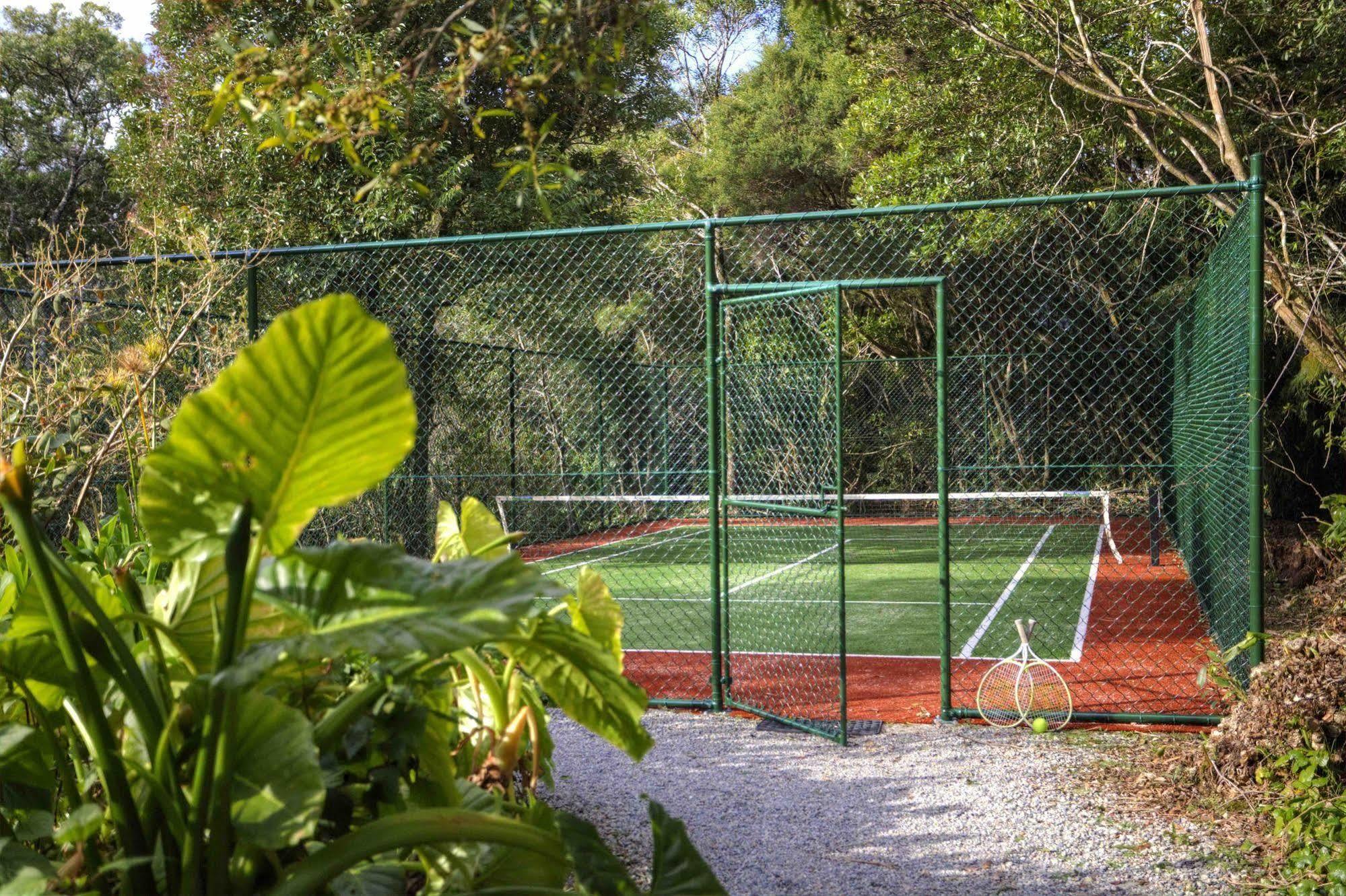 The Mouses House Rainforest Retreat Springbrook Dış mekan fotoğraf