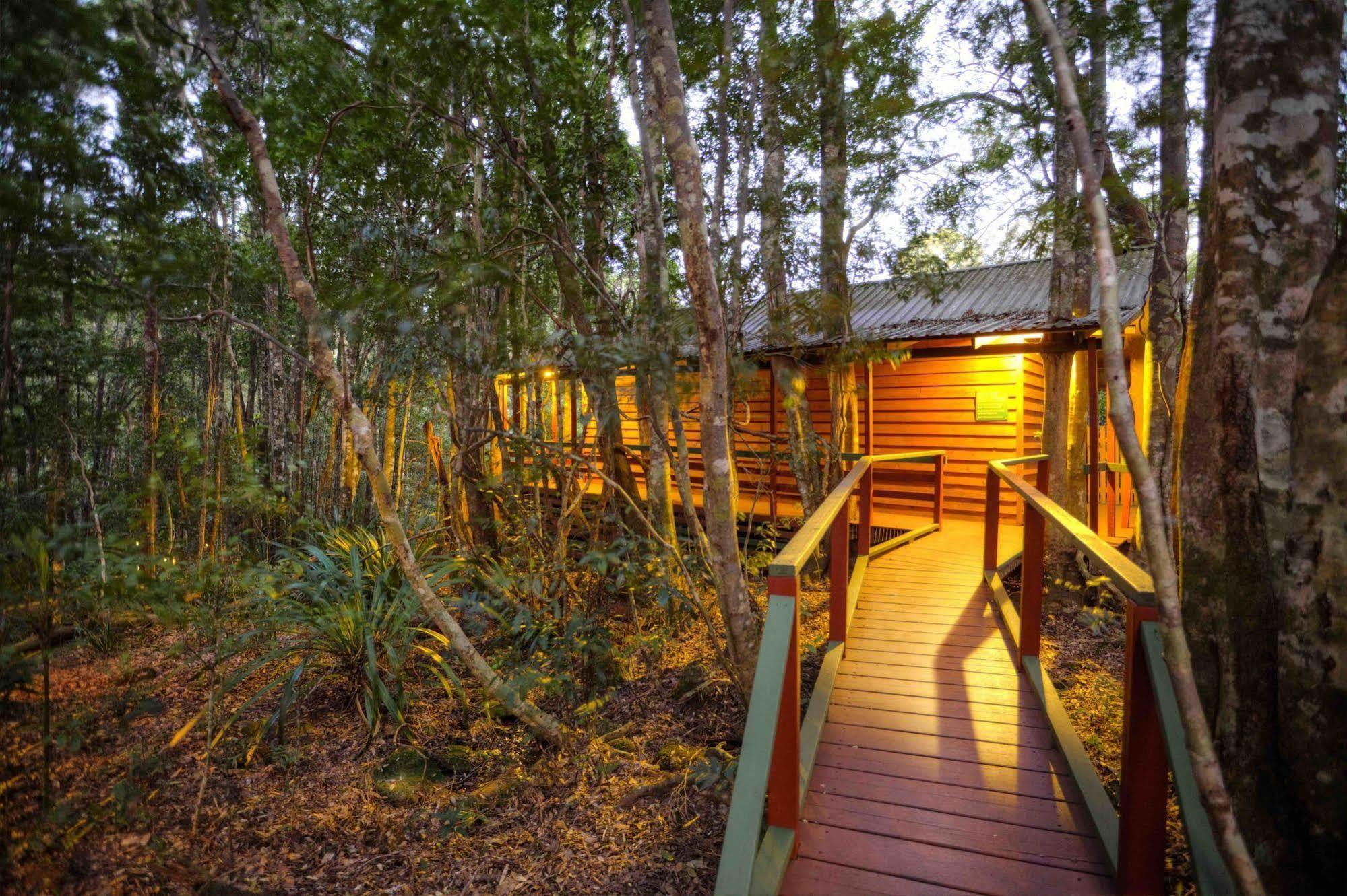 The Mouses House Rainforest Retreat Springbrook Dış mekan fotoğraf